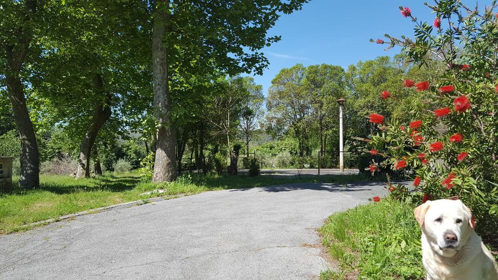 La Pineta Hotel Cogoleto